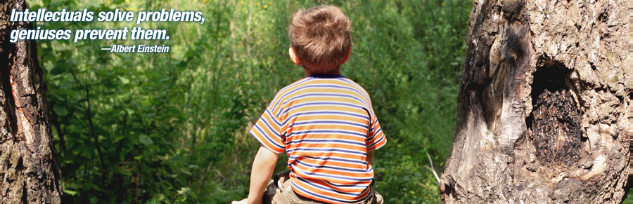 Boy looking into wooded area. Quote reads: Intellectuals solve problems, geniuses prevent them. - Albert Einstein